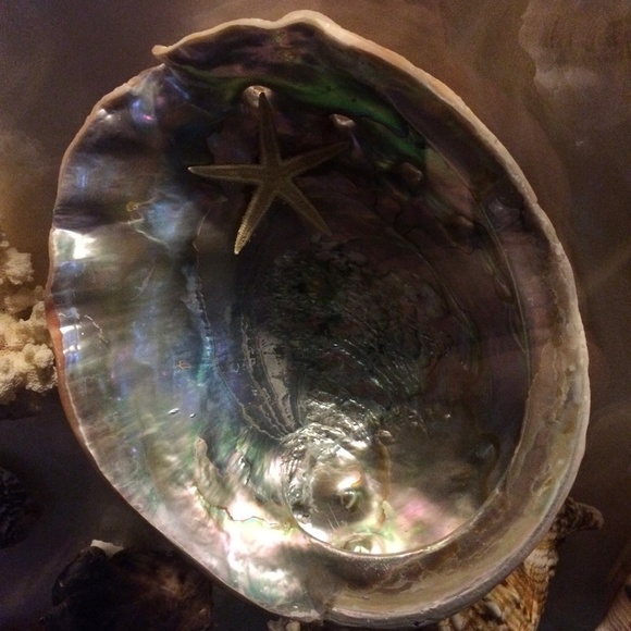 Posh Ambassador - Picture 3 of 4